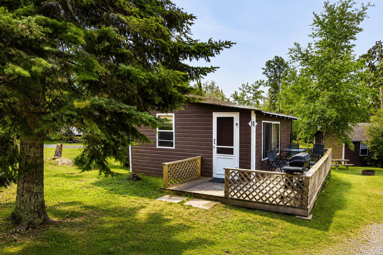 Cabin 11