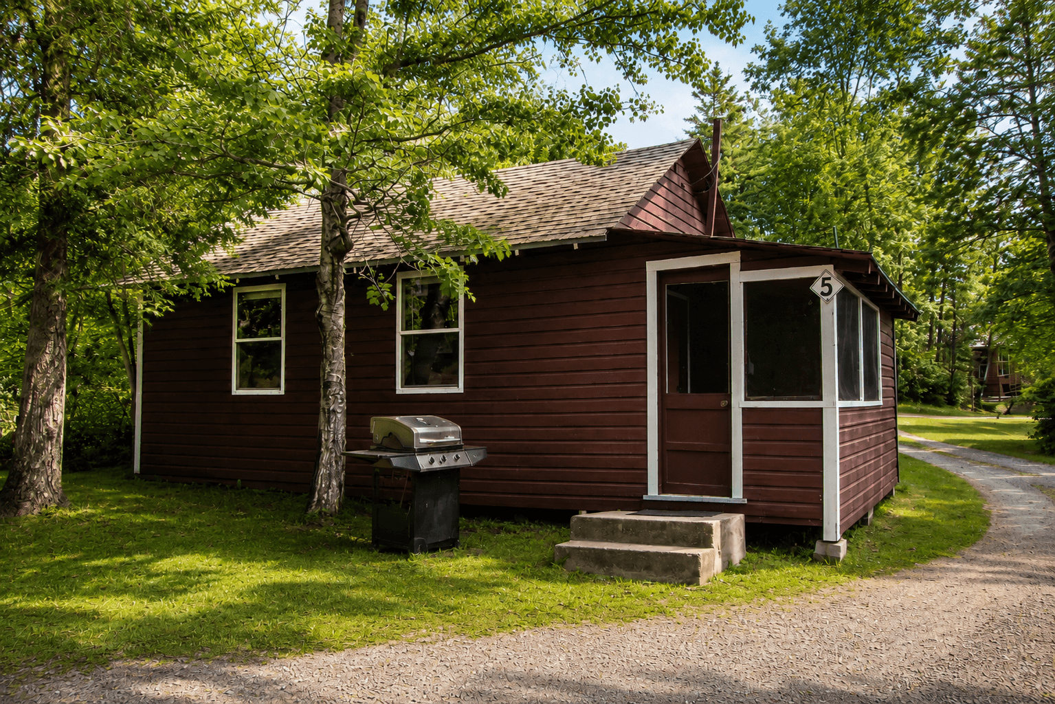 Cabin 5