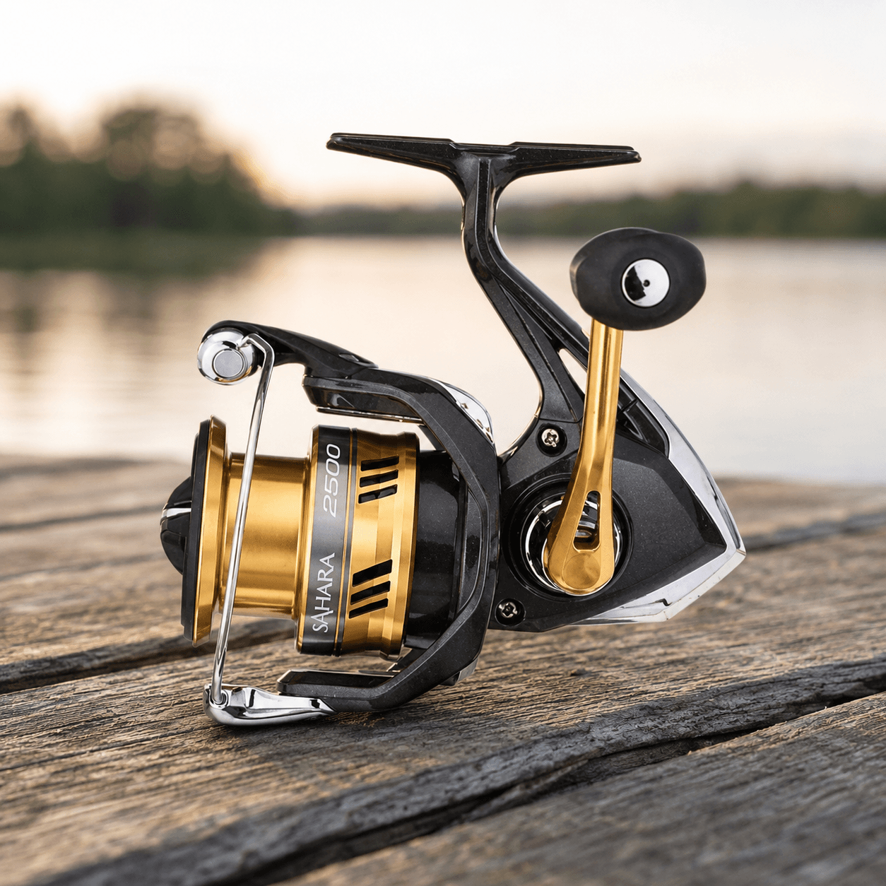 Shimano reel